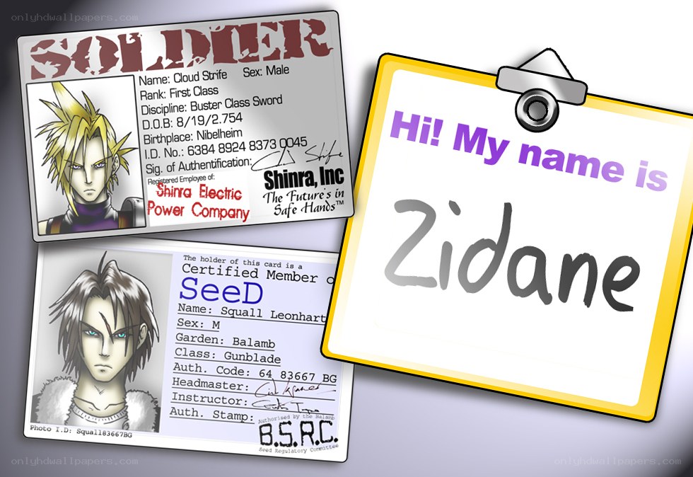 character ID cards from video games