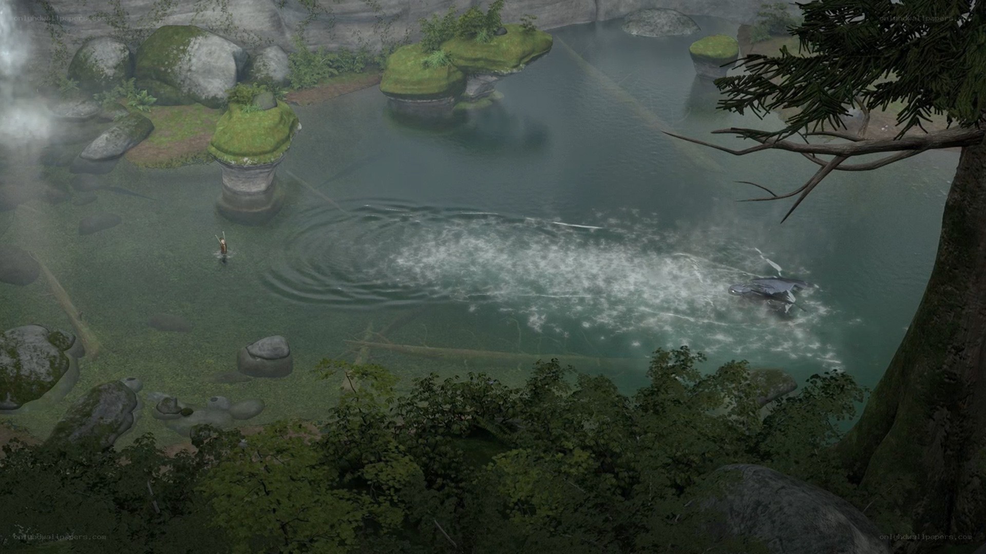Character in a misty lake