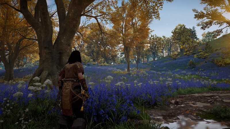 Character in Blue Flower Field