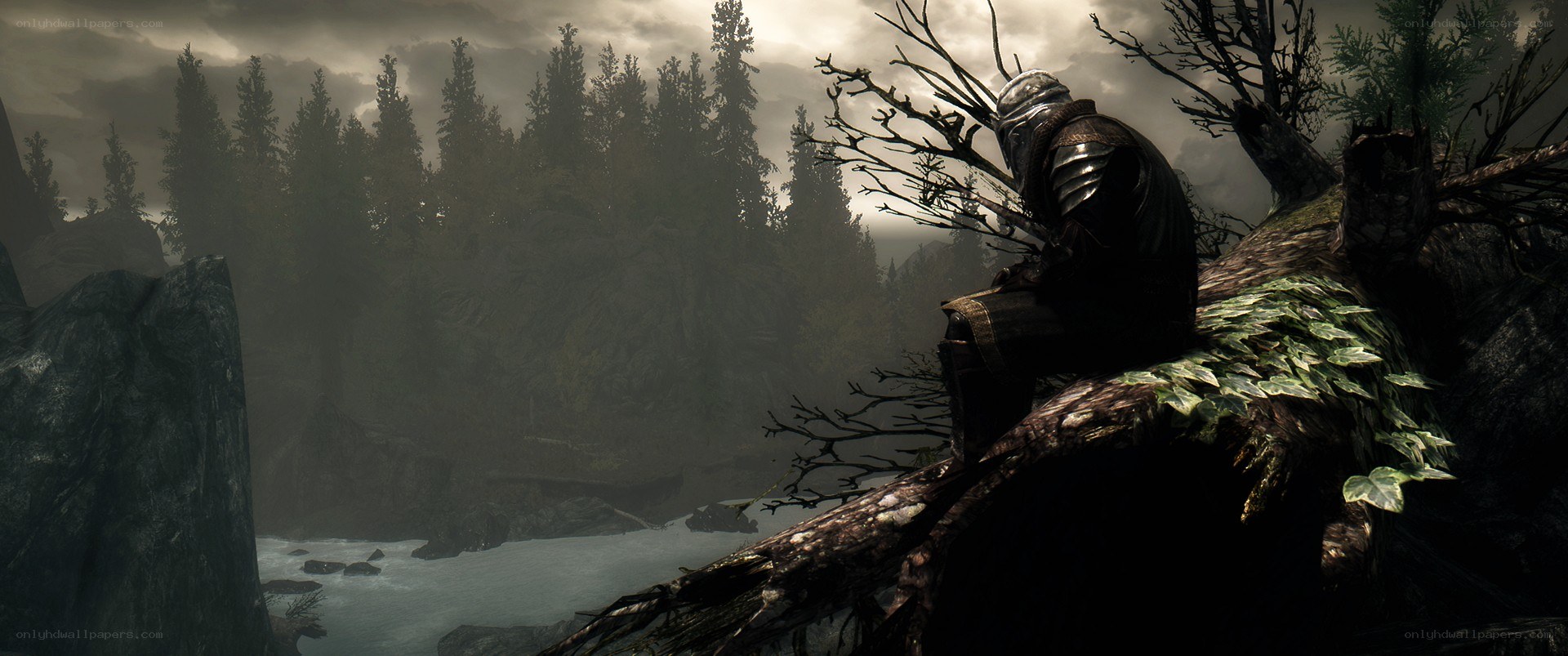Character in dark armor overlooking a river