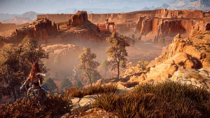 Character in Desert Canyon — Brown