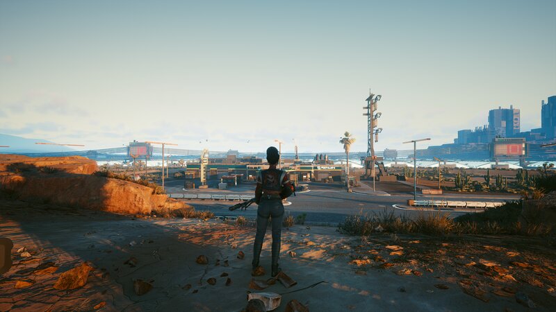 Character in Desert Landscape — Brown, Desolate