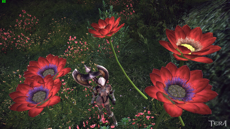Character in Flower Field