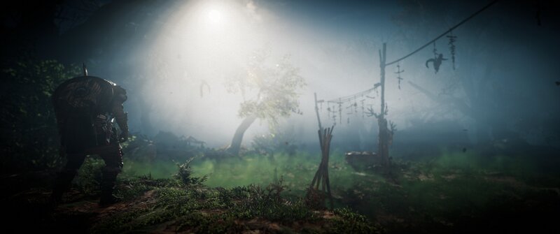 Character in Foggy Forest