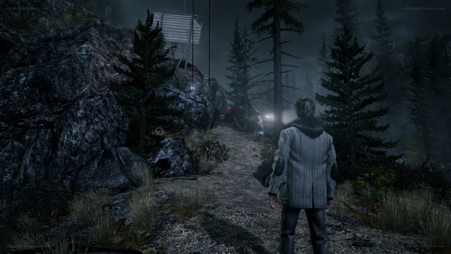Character in forest at night