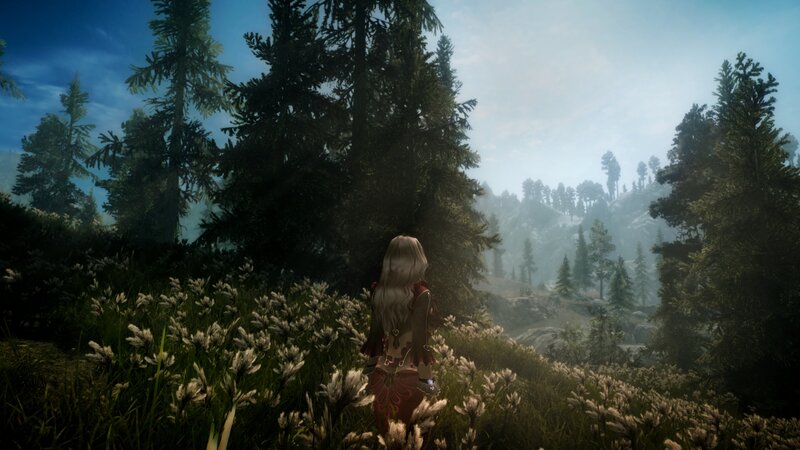 Character in Forest — Green, Serene, Morning