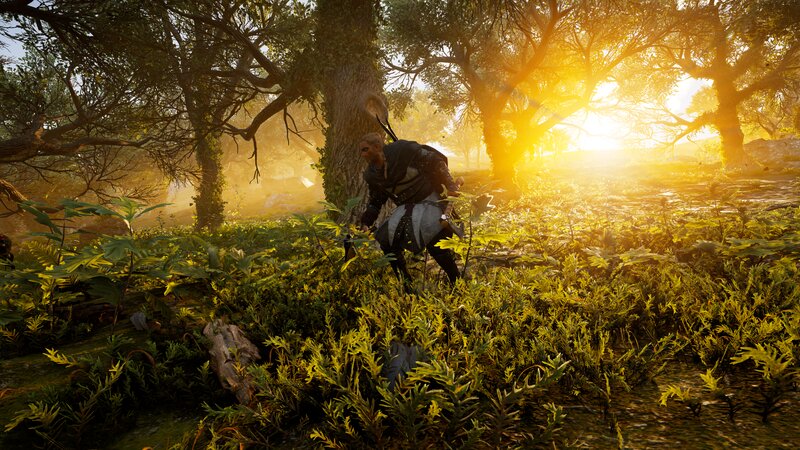 Character in Forest — Green, Serene, Sunset