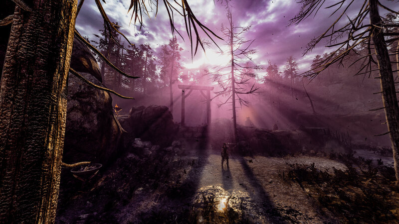 Character in Forest — Purple, Dramatic