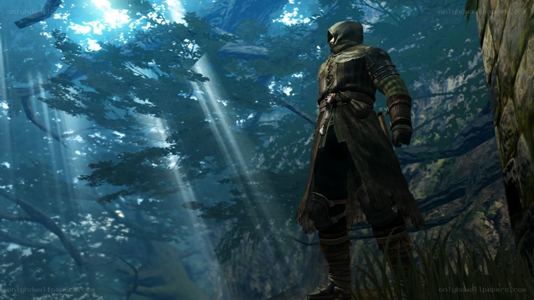 character in forest with sunlight