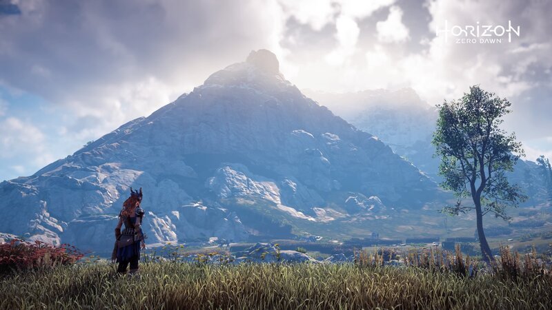 Character in Grassy Field