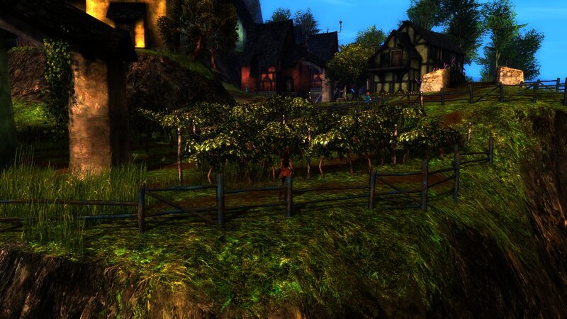 Character in Vineyard