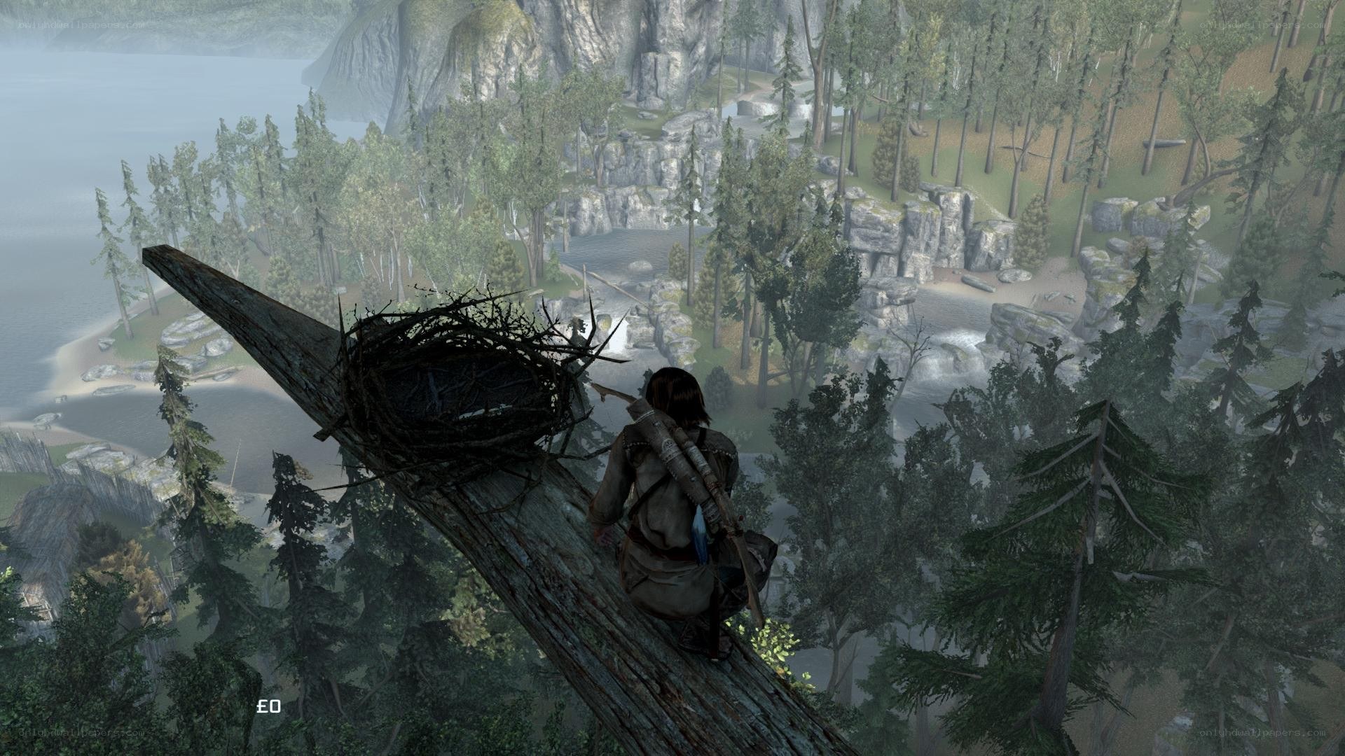 character on tree branch