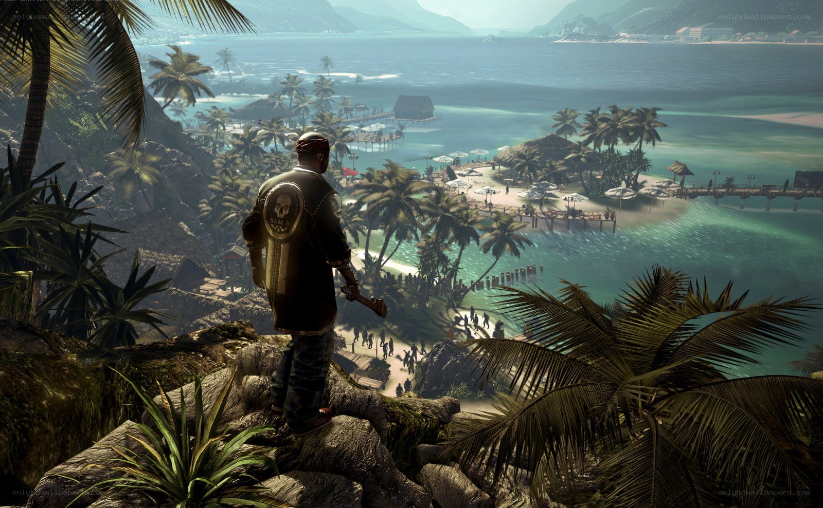 Character overlooking tropical island