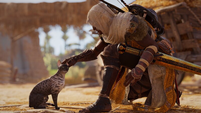 Character Petting a Cat
