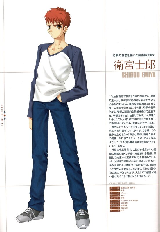 Character profile of Shirou Emiya