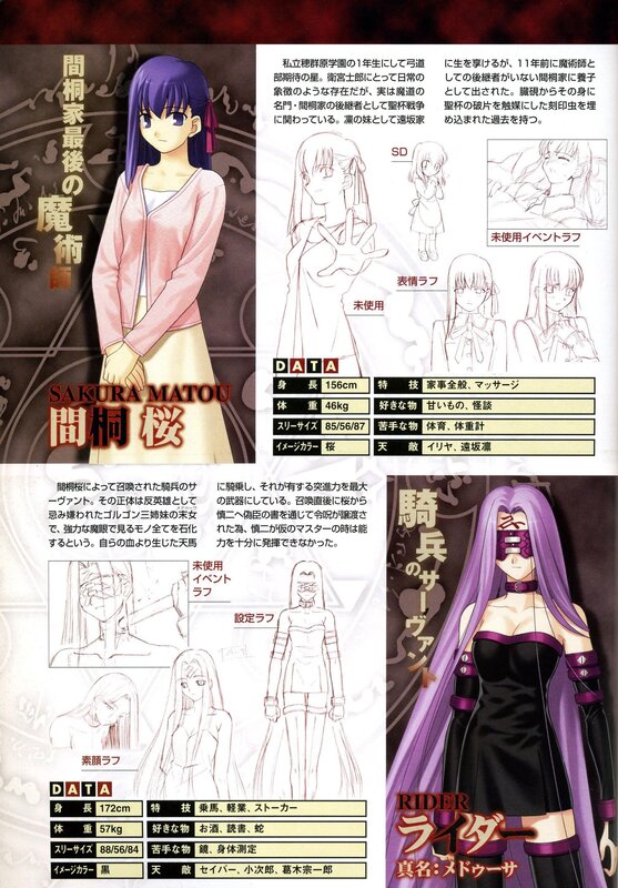 Character profile sheet for Sakura Matou