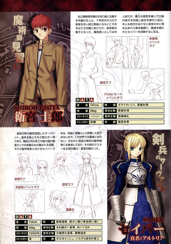 Character profiles from Fate/Stay Night