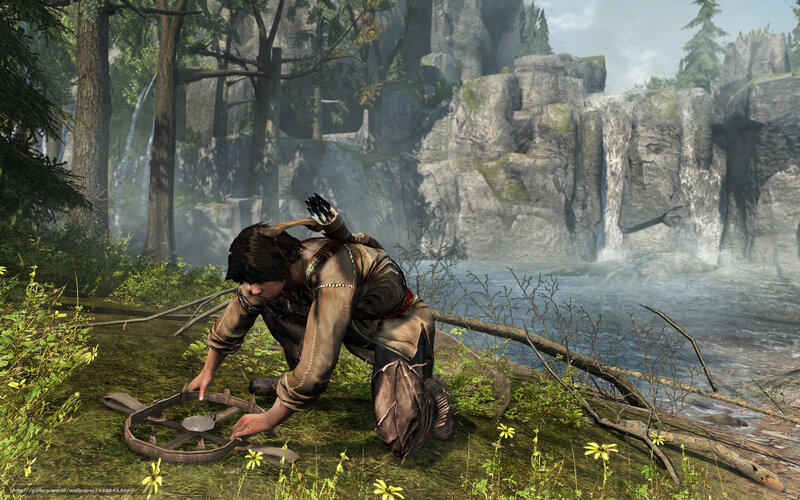 character setting trap in forest