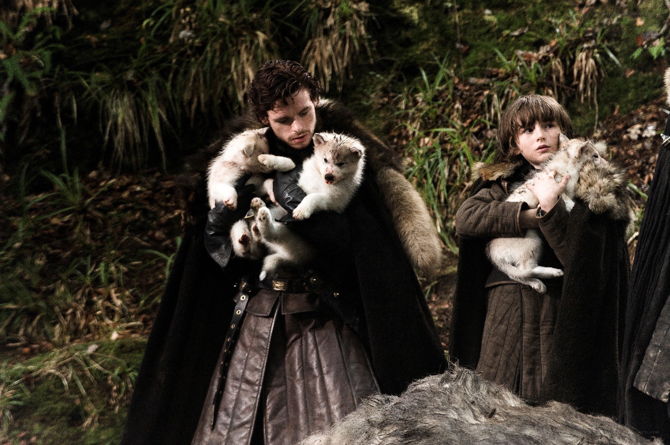 Characters holding wolf pups