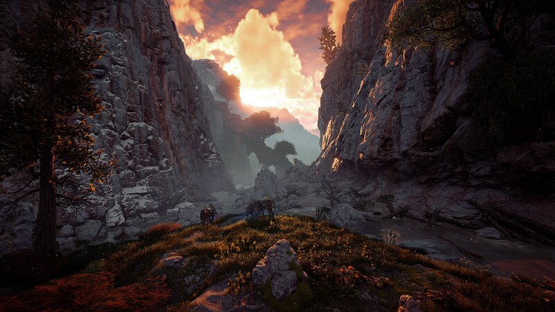 Characters in a Canyon