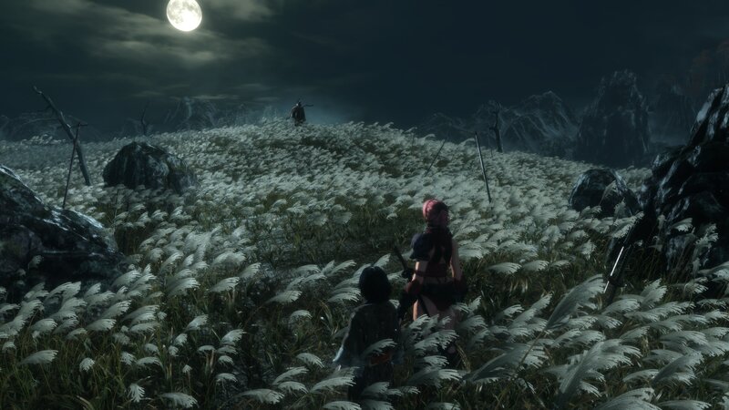 Characters in a Field — Black