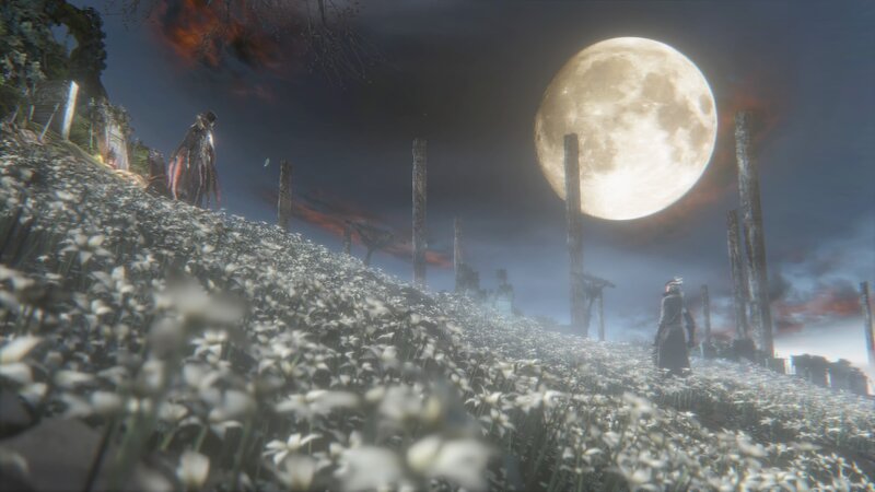 Characters in a Flower Field — White