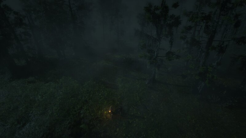 Characters in a Foggy Forest