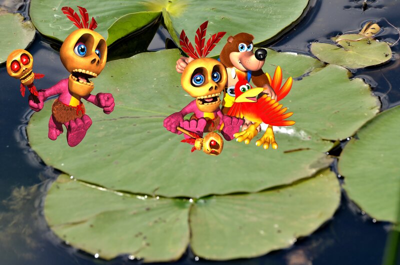 Characters on Lily Pads