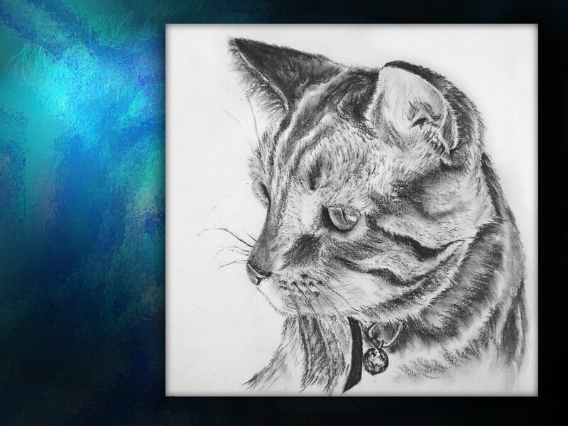 charcoal drawing of a cat