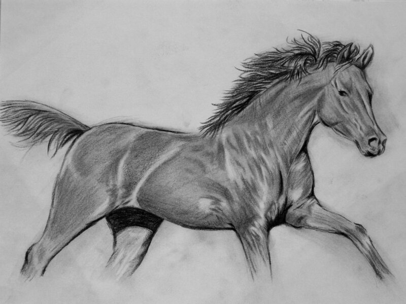 charcoal drawing of a running horse