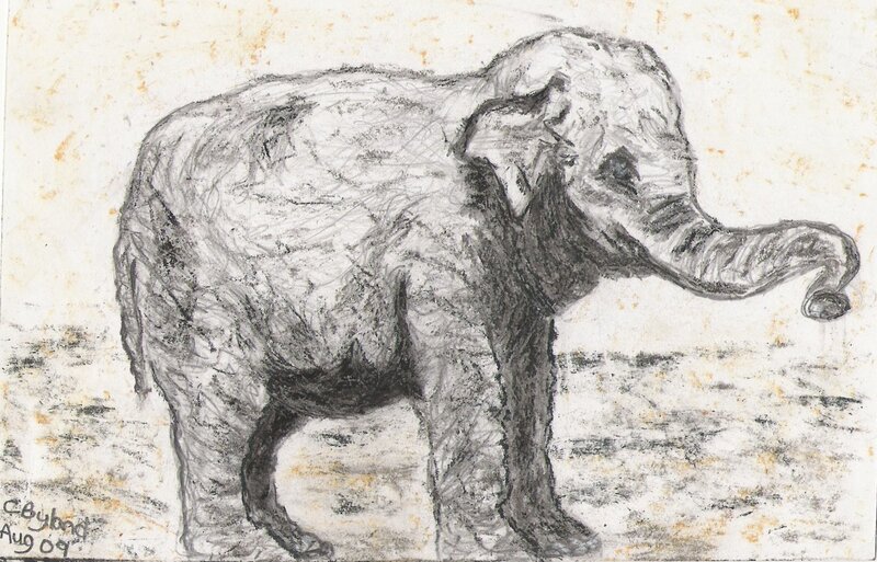 charcoal drawing of an elephant
