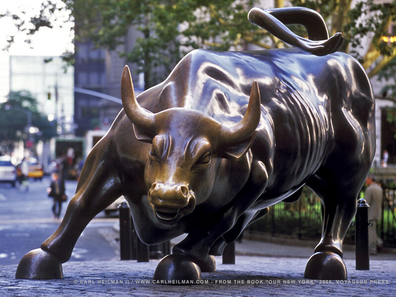 Charging bull statue in New York