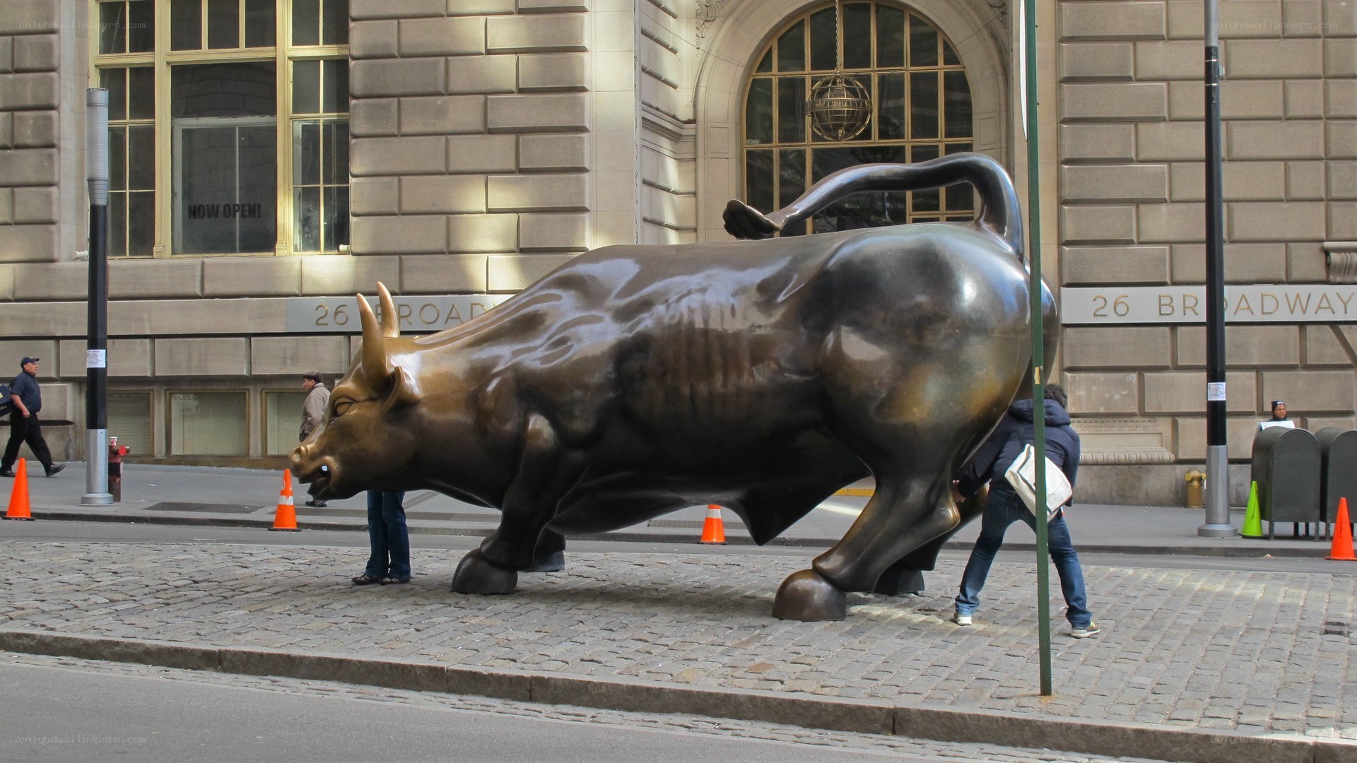 Charging bull statue on street