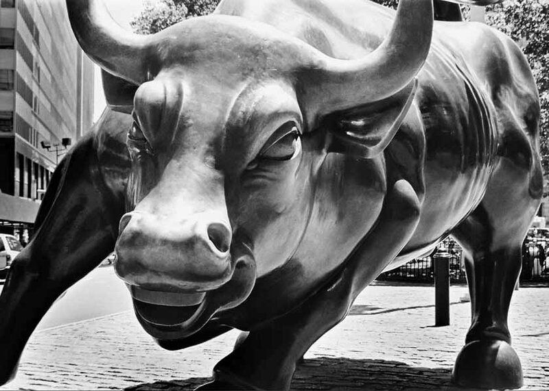 Charging bull statue