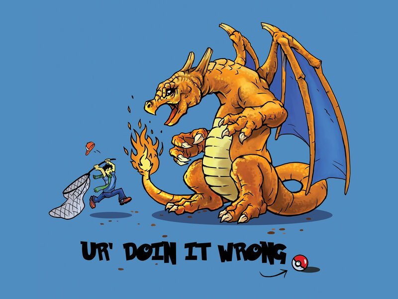 Charizard and the Bug Catcher