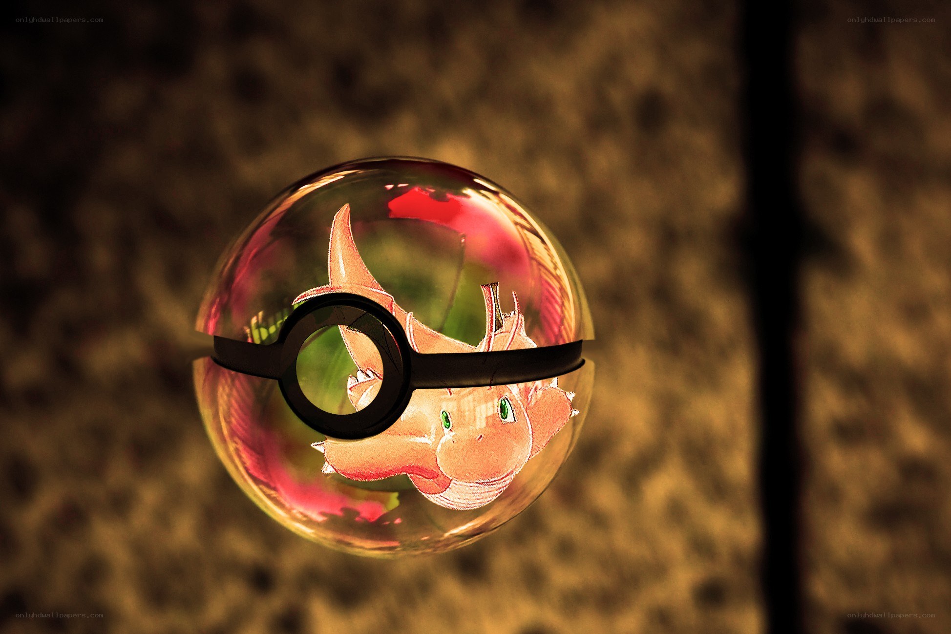 Charizard in a Poké Ball
