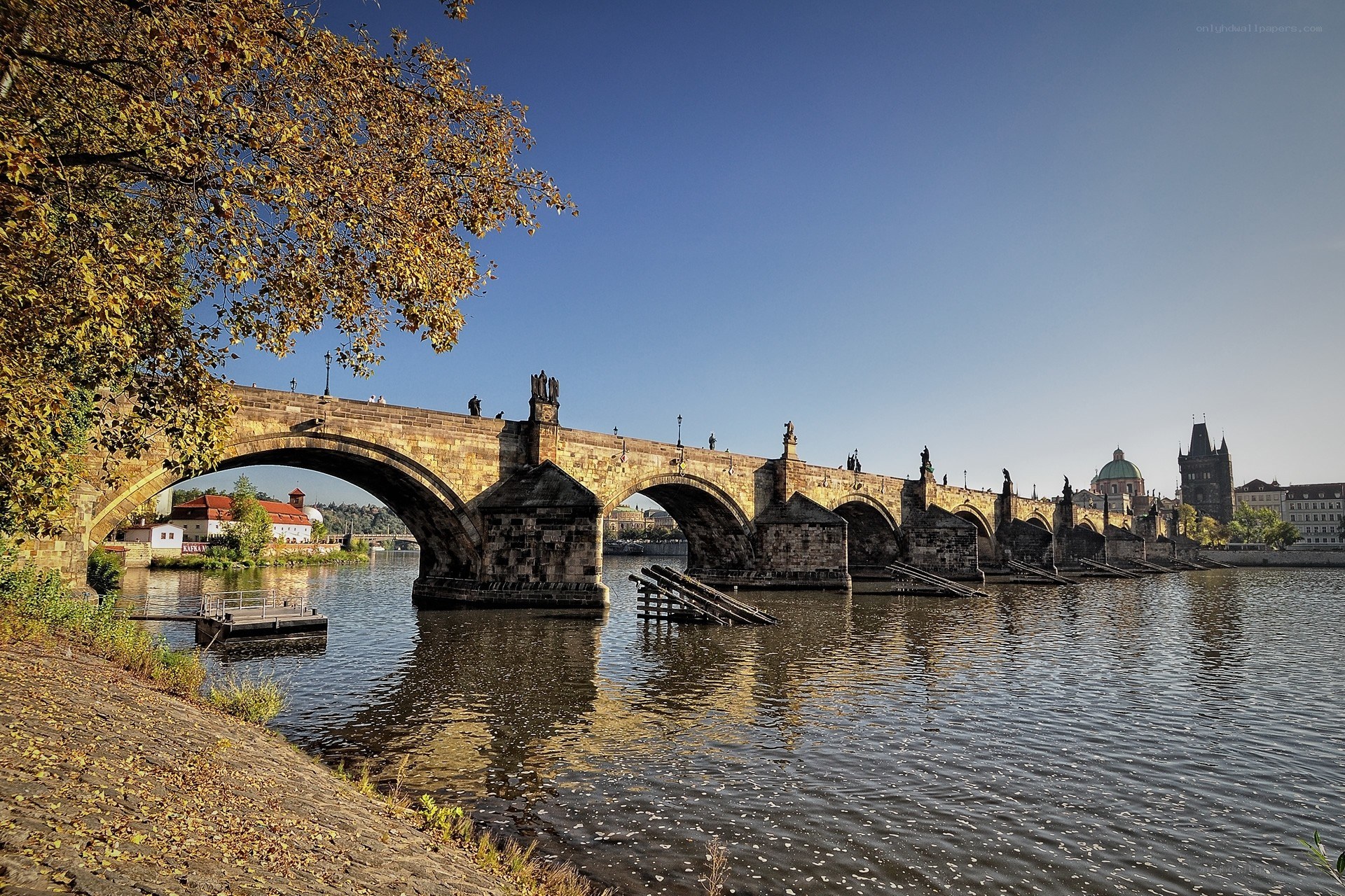 Charles Bridge in autumn