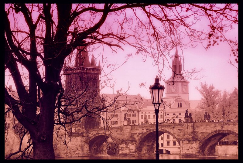 Charles Bridge in Prague — Pink