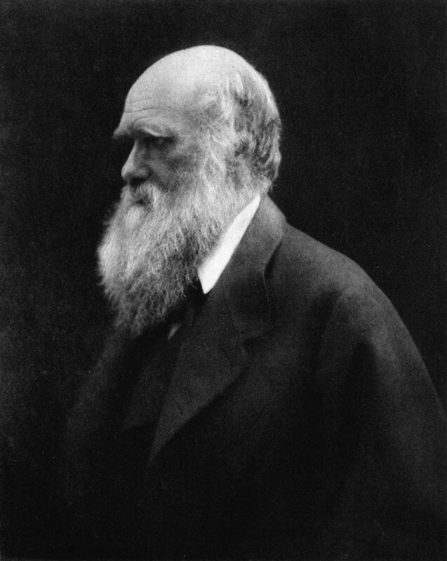 Charles Darwin portrait