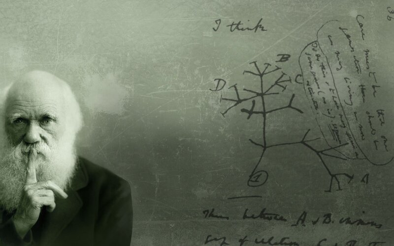 Charles Darwin Portrait — Green