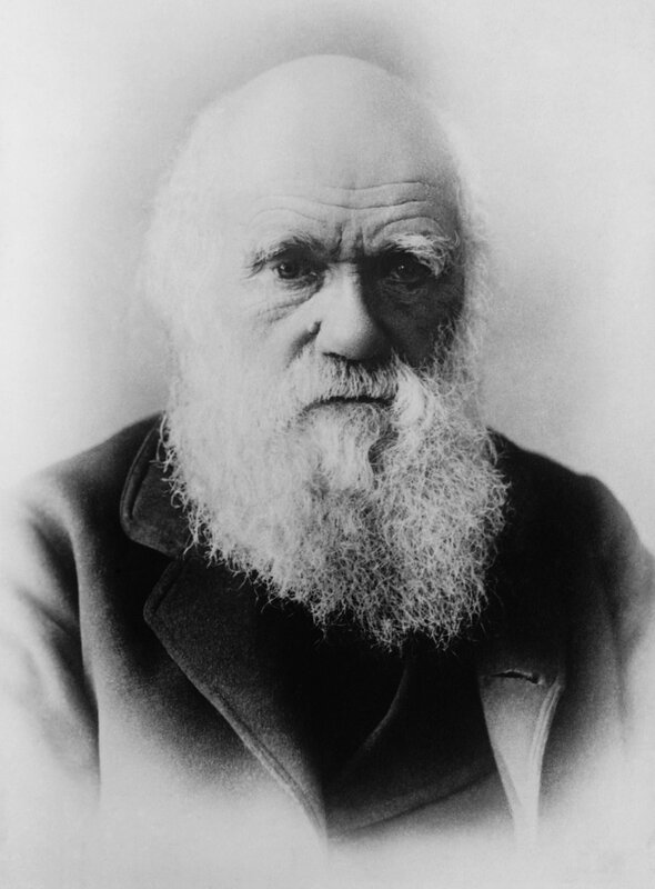 Charles Darwin portrait