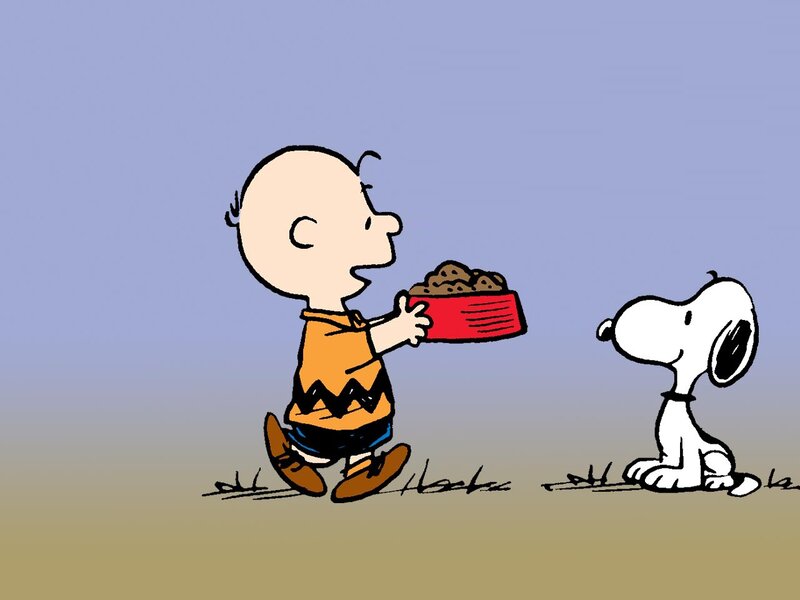 Charlie Brown feeding Snoopy