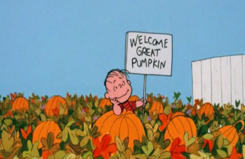 Charlie Brown in Pumpkin Patch