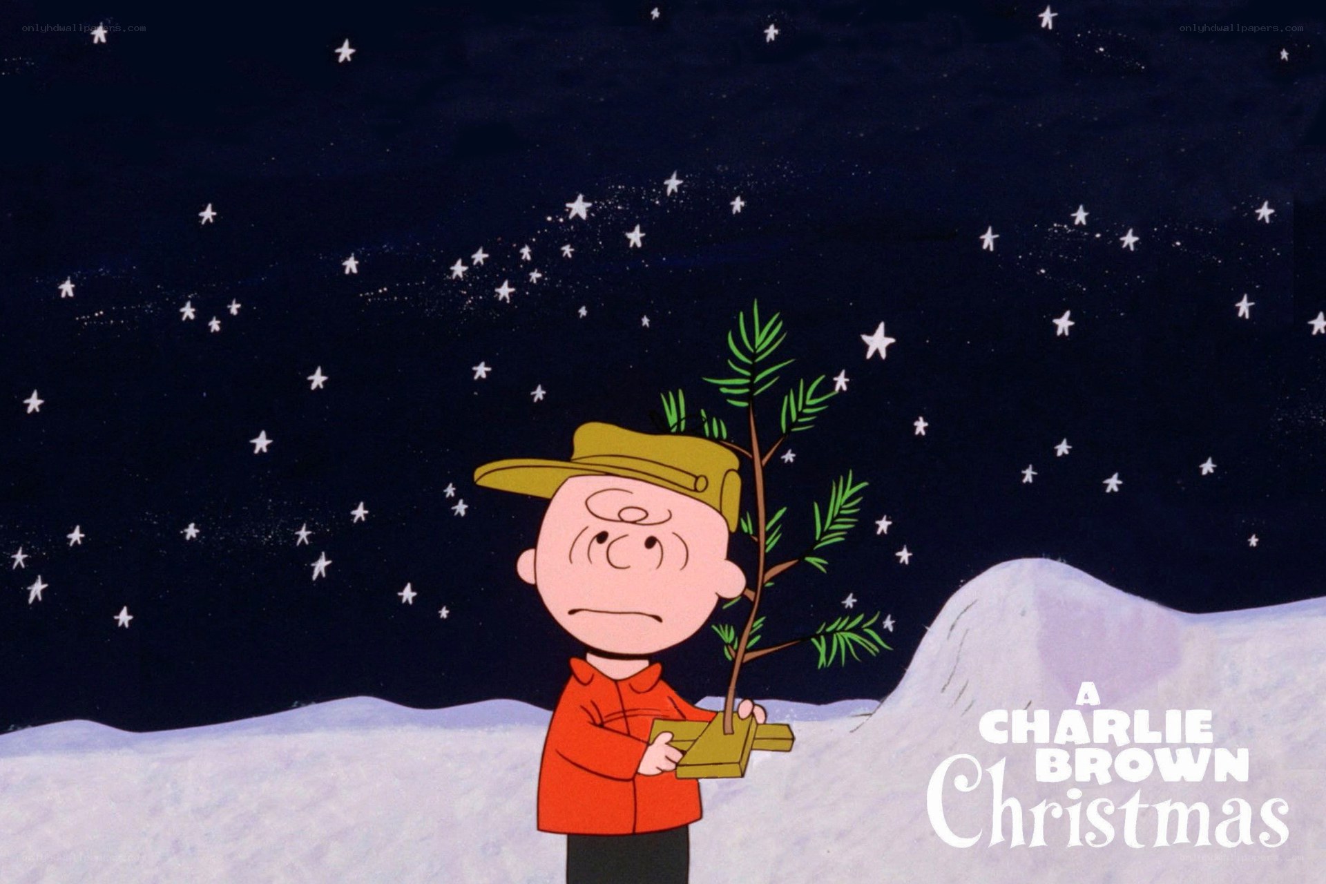 Charlie Brown with a Christmas tree