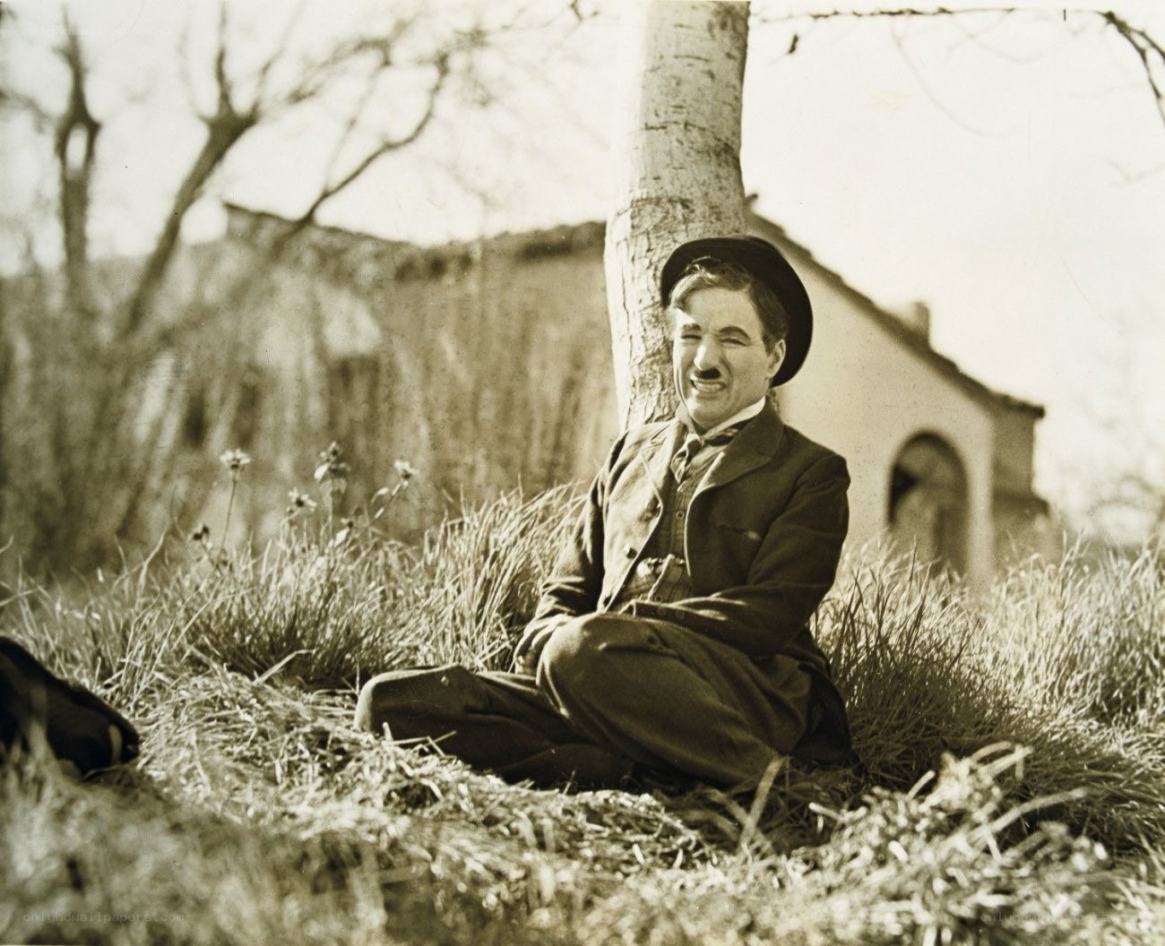 Charlie Chaplin sitting in grass