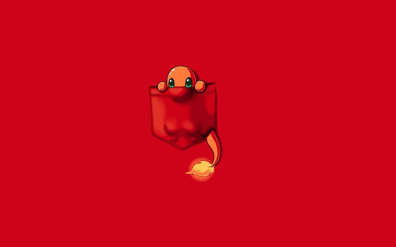 Charmander in a pocket