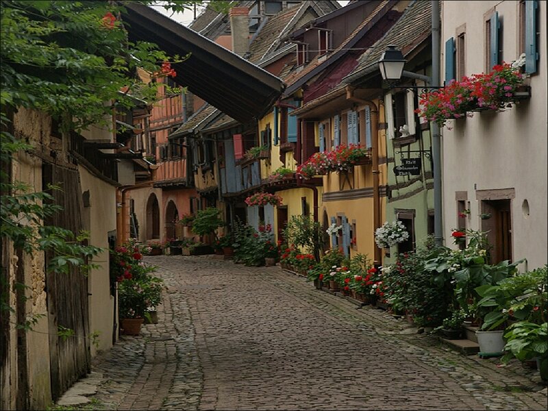 Charming cobblestone street in Colmar