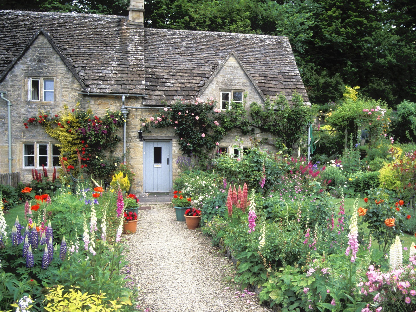 Charming cottage garden