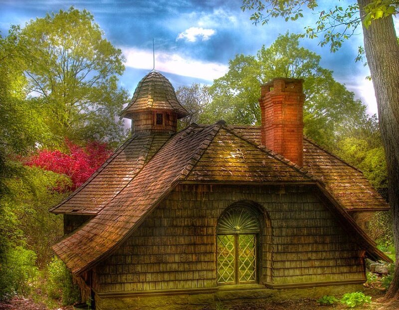 Charming cottage in a forest