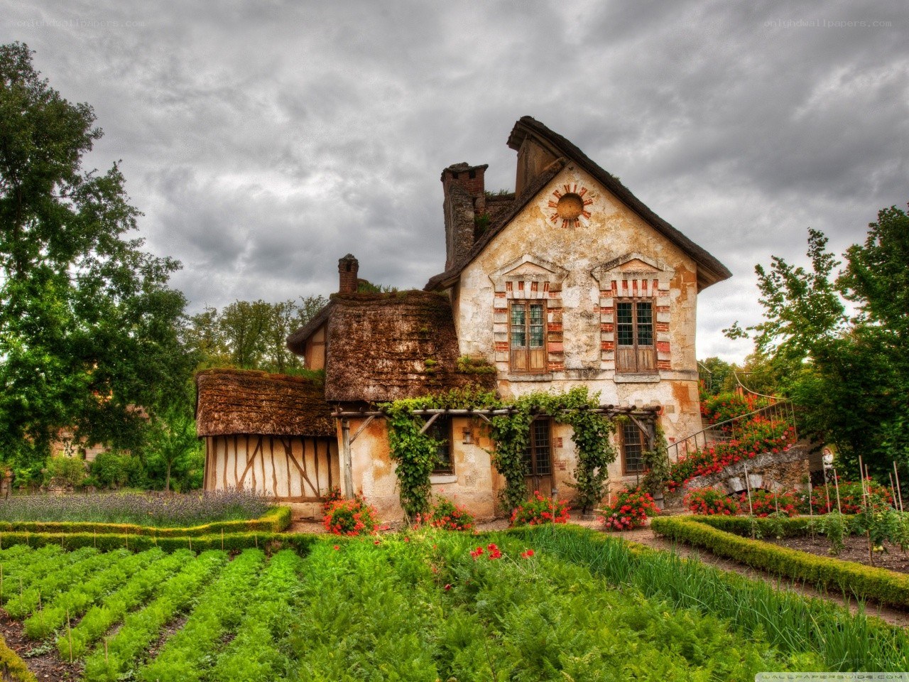 Charming cottage in a lush garden